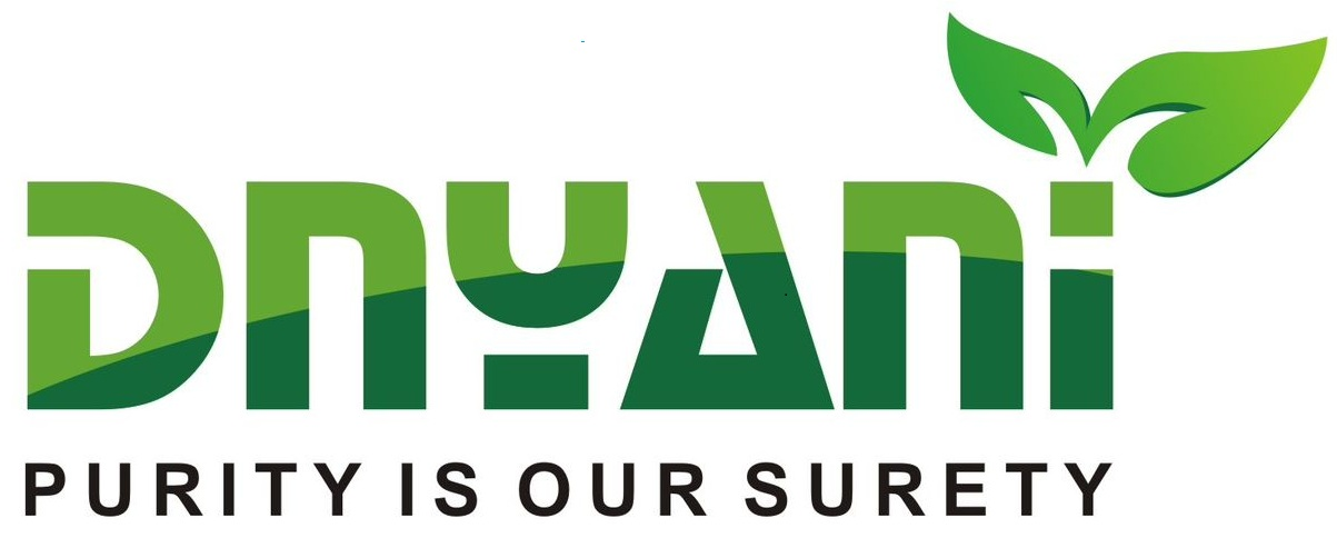 Dnyani Water Solutions Logo